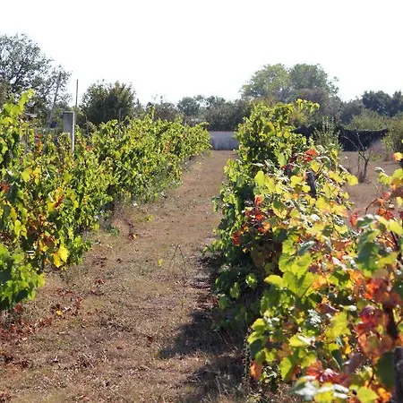 Family Friendly With A Swimming Pool Jadreski, - 7292 Pula