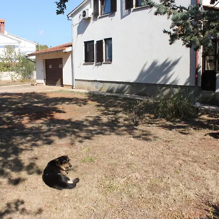 Family Friendly Apartments With A Swimming Pool Jadreski, Pula - 7292