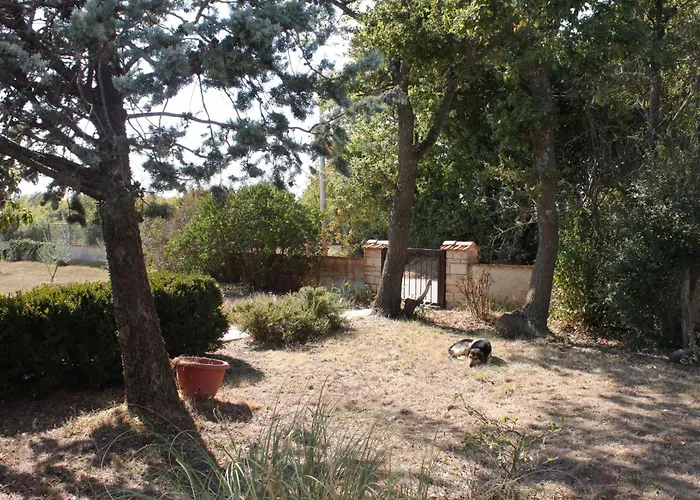 Family Friendly Apartments With A Swimming Pool Jadreski, Pula - 7292 Apartment *