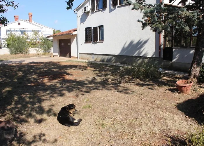 Family Friendly Apartments With A Swimming Pool Jadreski, Pula - 7292